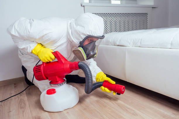 Best Pest Removal Services  in Pecan Plantation, TX
