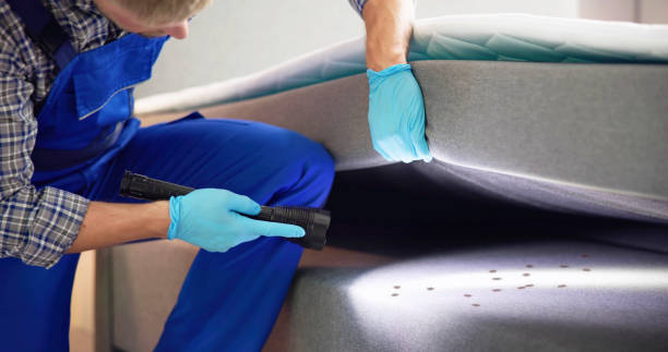 Professional Pest Control in Pecan Plantation, TX