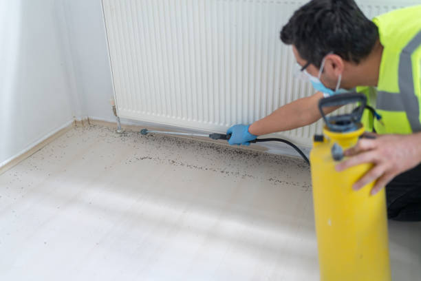 Best Pest Prevention Services  in Pecan Plantation, TX